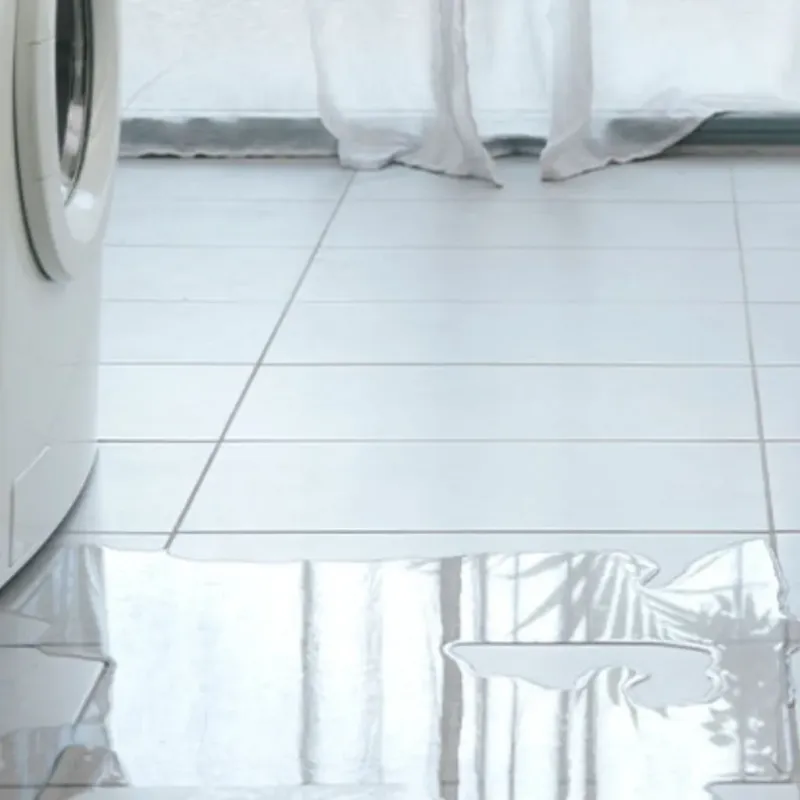 Appliance Leak Cleanup in Greenfield, NH