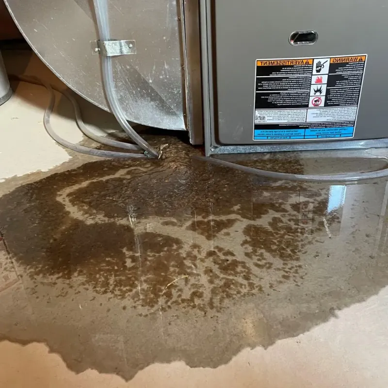 Pipe Burst and Leak Restoration in Greenfield, NH